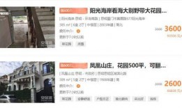 厦门房东最新爆料,最新租房市场动态揭秘